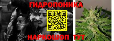 соль ск Кингисепп